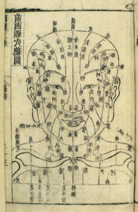 Acupuncture head chart